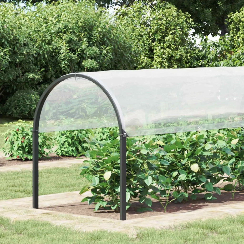 Copertura per Piante Trasparente 2 x 12 m PE 3429273