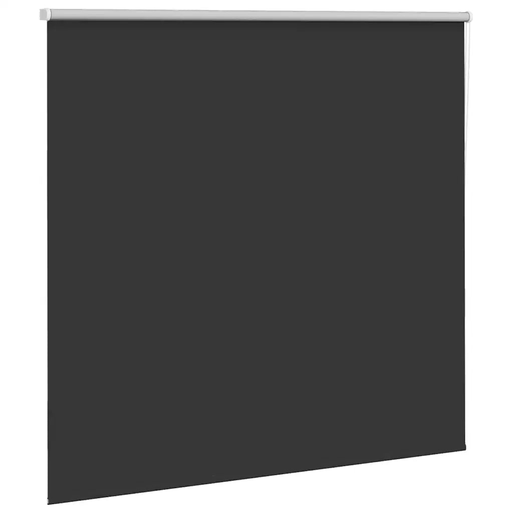Tenda a Rullo Oscurante-Tenda da sole a rullo 165x150 cm Larghezza Tessuto 161,6 cm 312269
