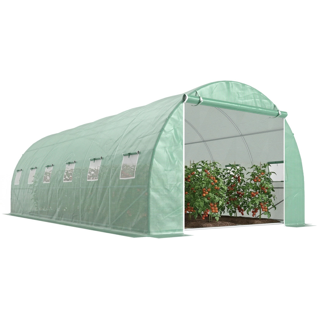 Serra Tunnel con 12 Finestre Porta ¨C Minimal ¨C Verde