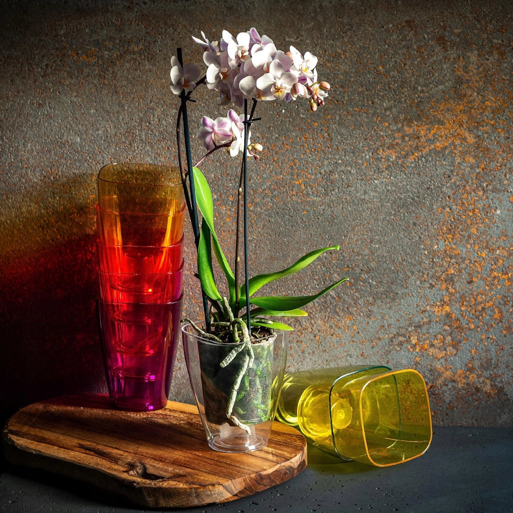 Vaso per orchidee KADAX in plastica, verde, resistente, 9 cm