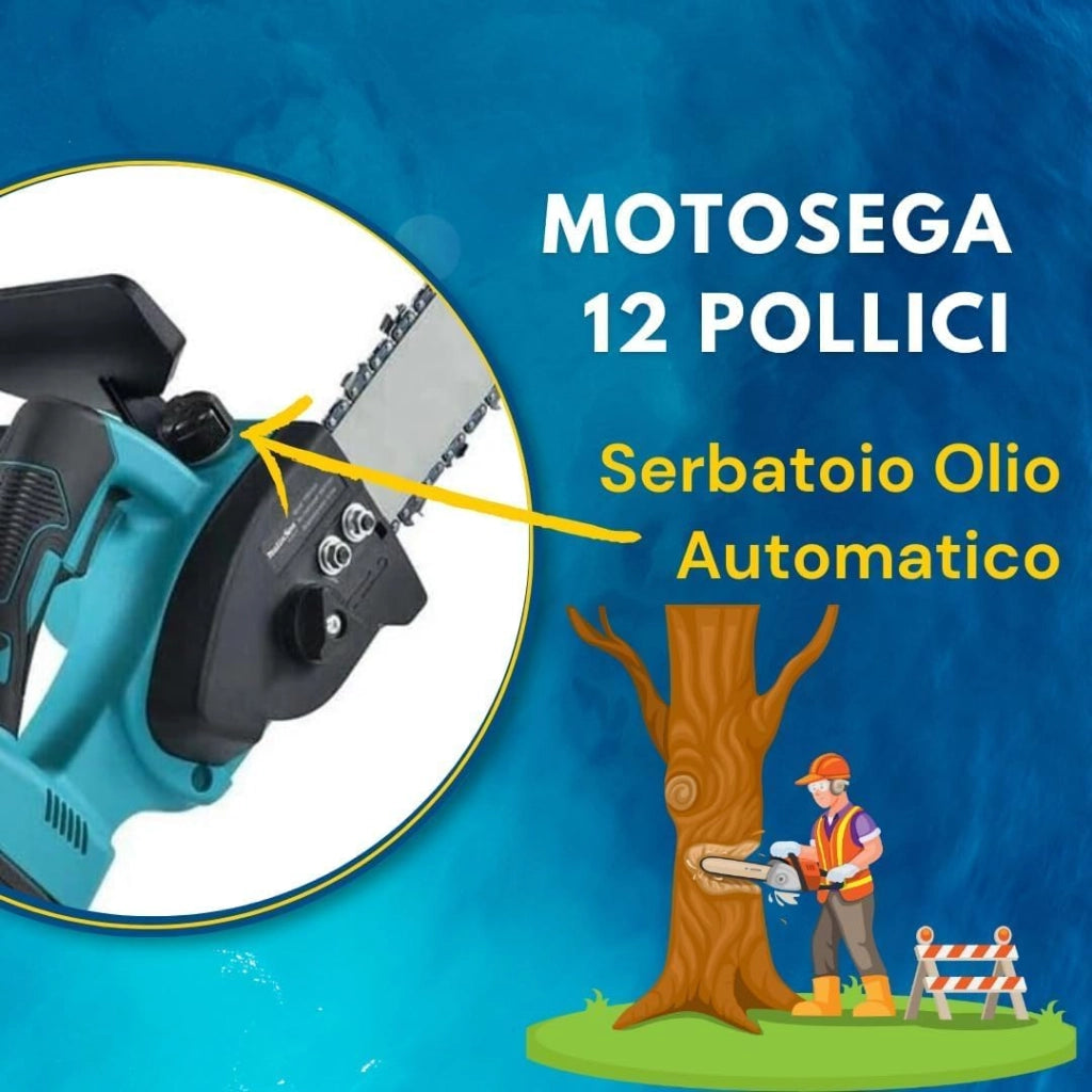 Motosega a Batteria per Potatura, Sega Elettrica 12 Pollici con 2 Batterie