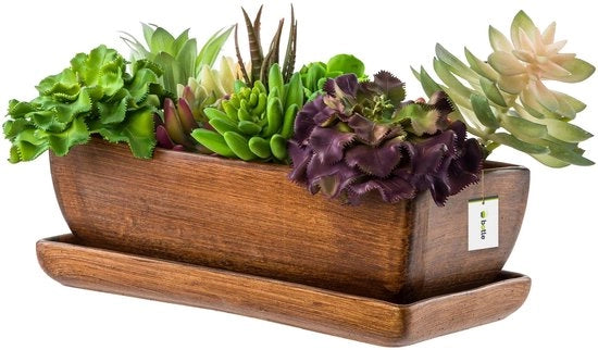 Vaso Ceramico per Piante con Sostegno, Rettilineo, Marrone Scuro, per Cacti e Succulente