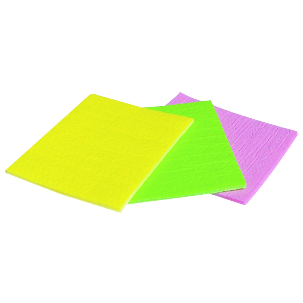 PANNO 18X16CM SPUGNA MULTIUSO