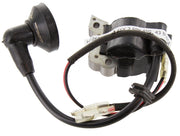 1pz j-sky 2 spk fig. 43 bobina elettronica cod:ferx.9747