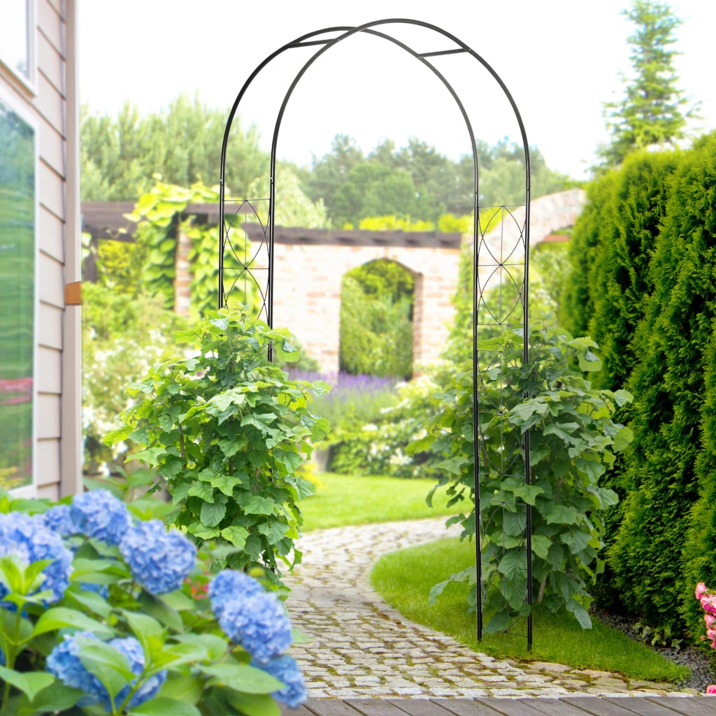 Arco da Giardino per Rampicanti ¨C Xylo ¨C Metallo Nero 114x30x230 cm