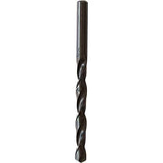 PUNTA ELICOIDALE 'RULLATA' 4 mm - 10 pezzi- ECEF