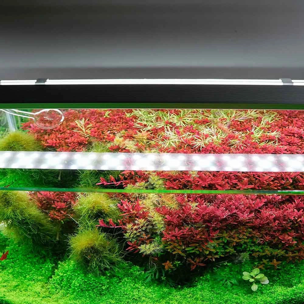Chihiros B20 - plafoniera LED con controller Bluetooth per acquari d' acqua dolce