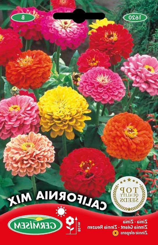 Mischia di California Zinnia Semi 2 g
