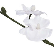 Orchidea Artificiale con Vaso-Piante Decorative 30 cm Bianca