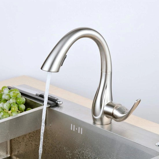 Cucina - Rubinetto con Sprezzatastraicizza e Doppia Pressione Acqua