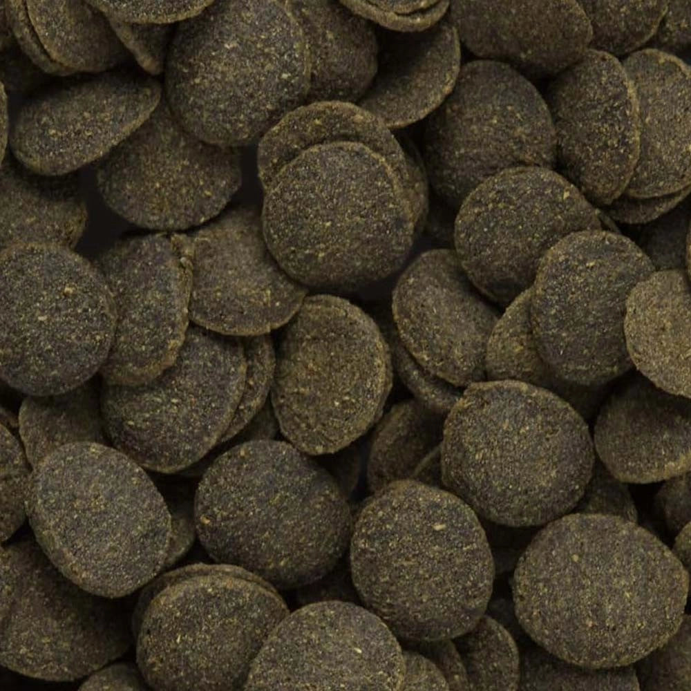 Hikari Tropical Mini Algae Wafers – mangime per Plecostomus e altri mangiatori di alghe Formato: 22 gr