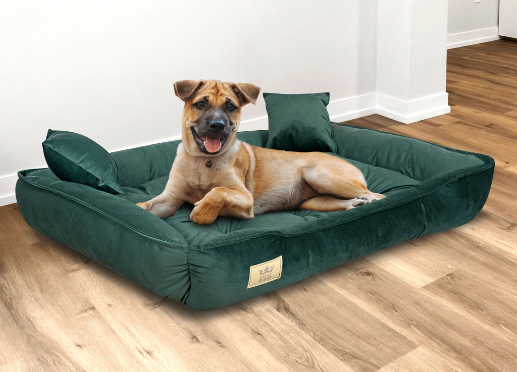 AIO FACTORY 100x75 cm Letto per cani in velluto verde scuro impermeabile