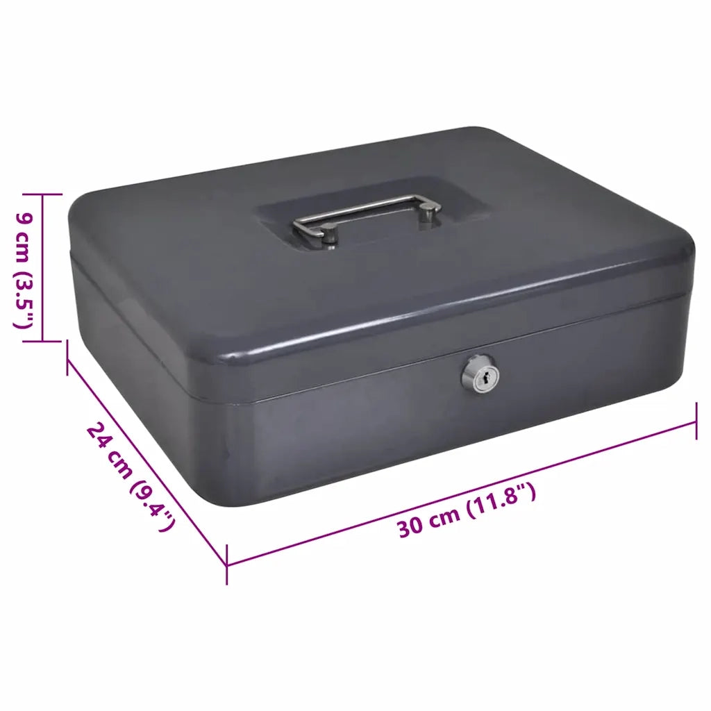 Scatola per Contanti Grigio scuro 30 x 24 x 9 cm Acciaio 42011322