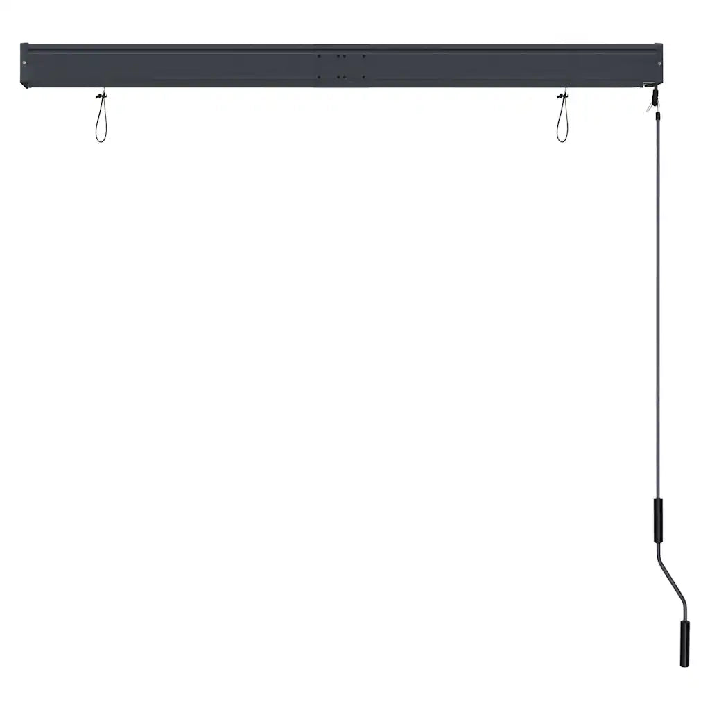 Tenda a Rullo per Esterni 140x250 cm Antracite 145970
