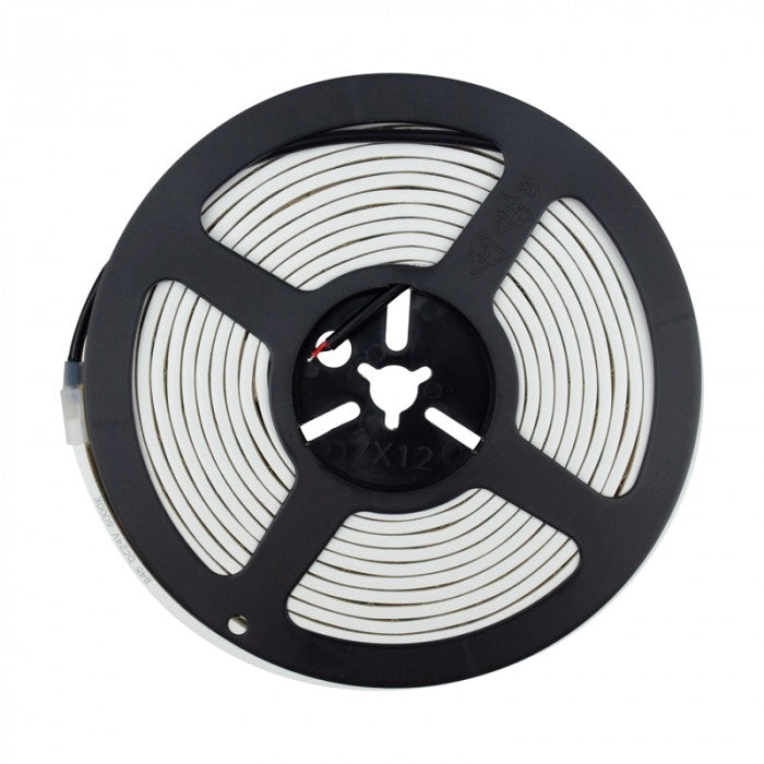 Striscia LED Neon COB 24V IP68 6000K 9W/m 5m Ecolight