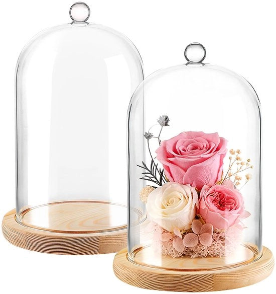 Supporto Vetrato con Base in Legno - Cupola Decorativa 18 cm Alta, 2 Pezzi