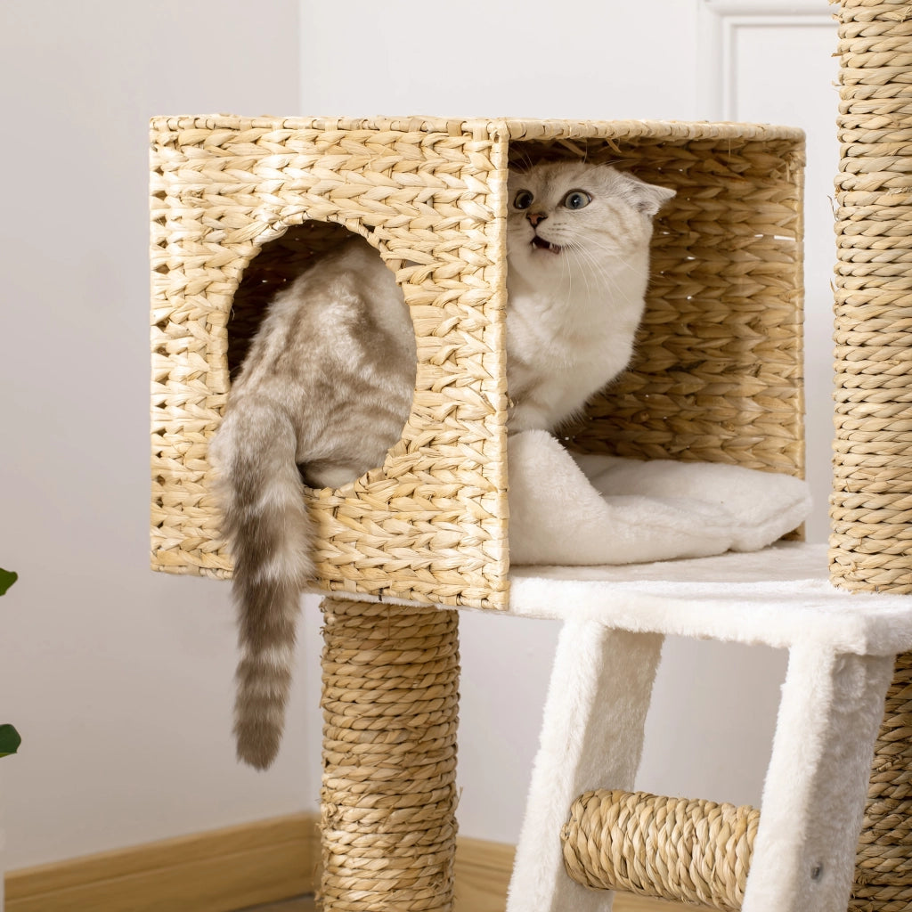 Albero per gatti con cuscini e scala ¨C zephmum ¨C grigio 100.5 cm