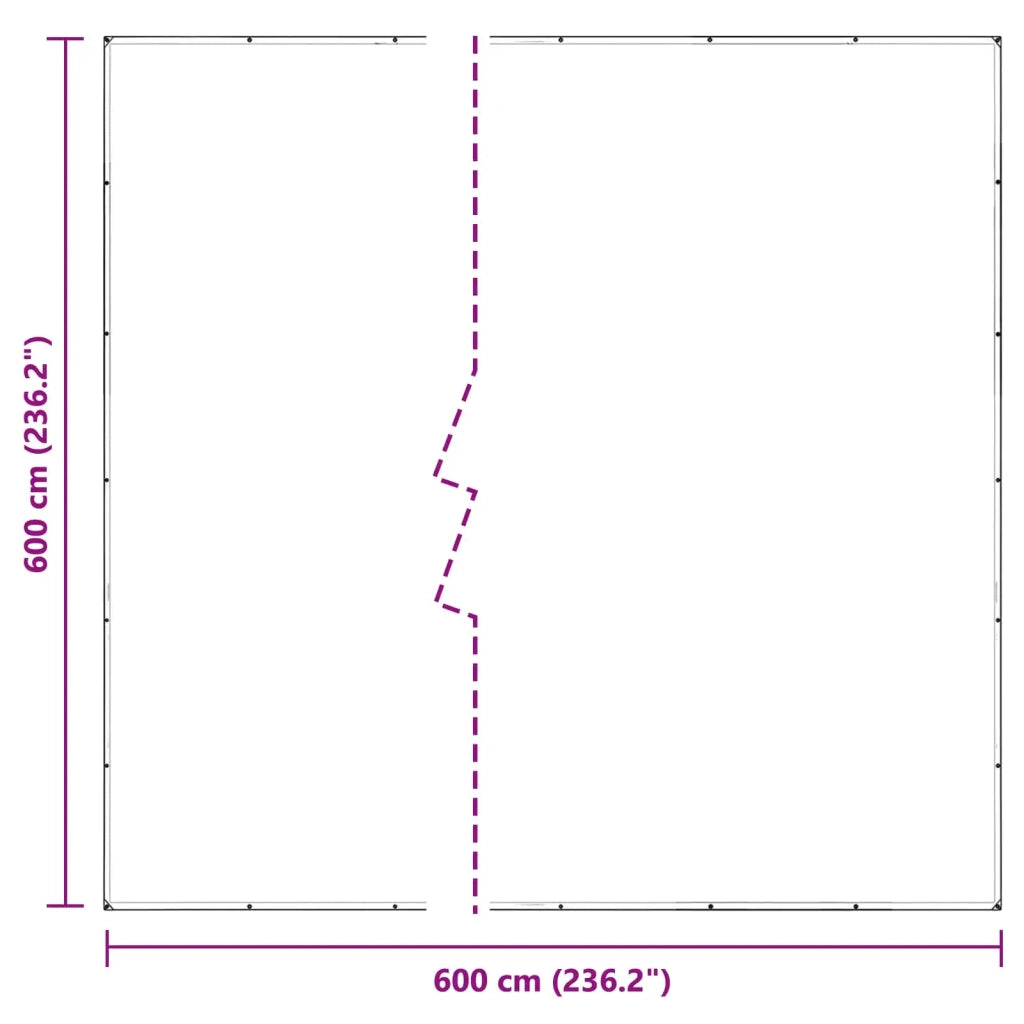 Copertura per Piante Trasparente 6 x 6 m PVC 3429362