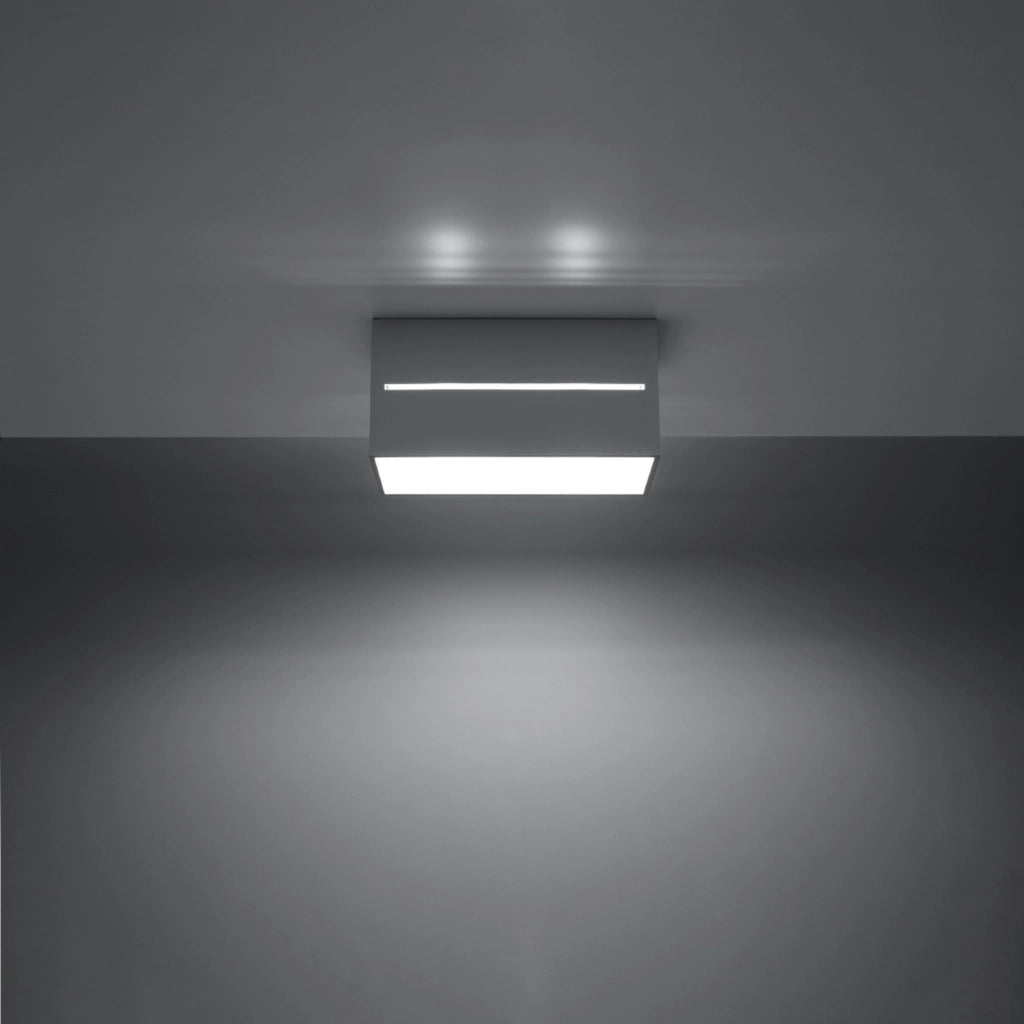 Lampada da soffitto LOBO 2 grigio