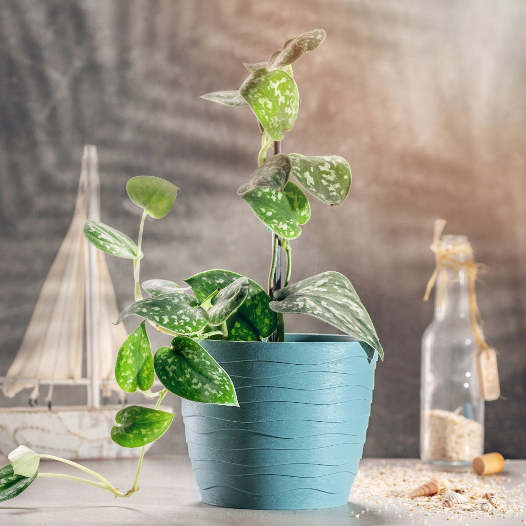 Vaso da fiori KADAX, coprivaso rotondo verde da 13 cm in plastica