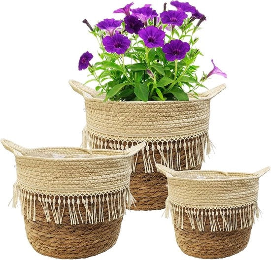 Pannelli per piante - Decorativi e funzionali - 3 pezzi - Zostera