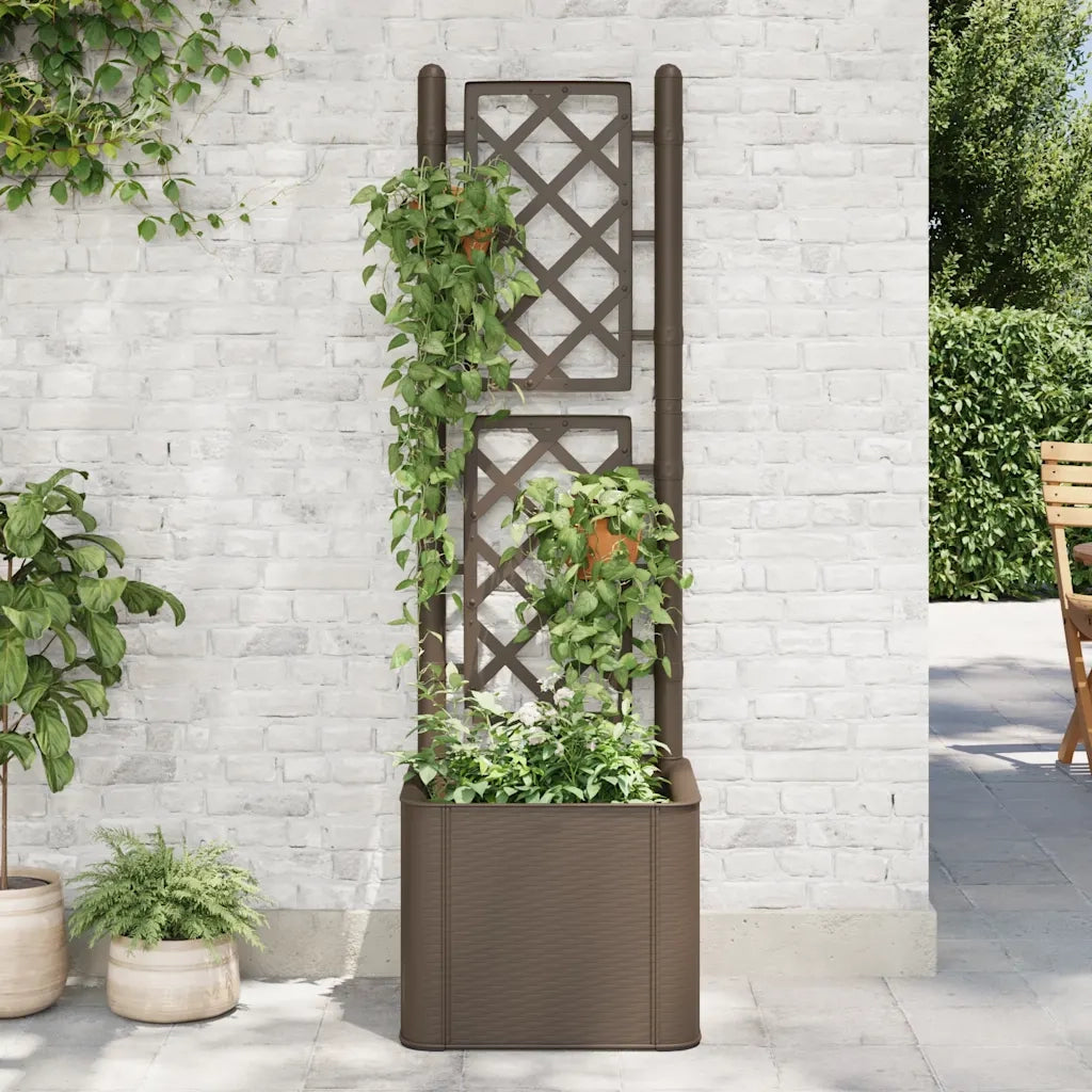 Fioriere | Cassetta per fiori | Letto Rialzato da Giardino con Graticcio e Irrigazione Moca