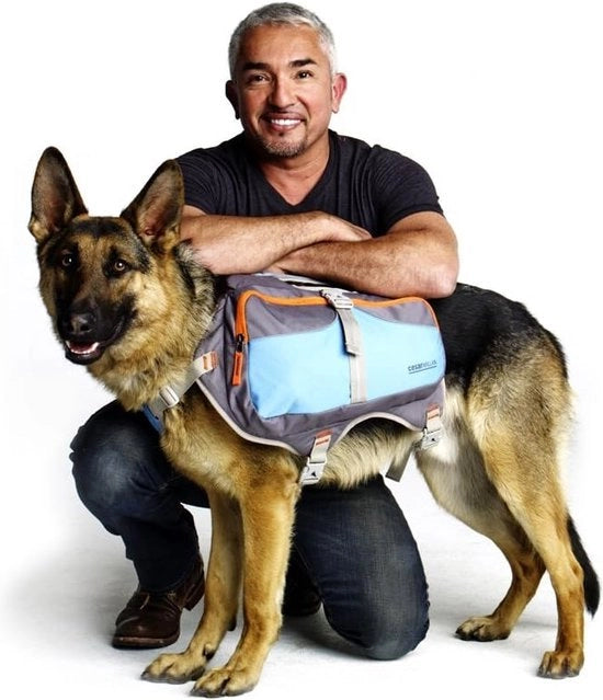 Zak da Spalla per Cani, Sacca da Spalla Impermeabile per Cani, Borsa da Viaggio per Cani Robusta