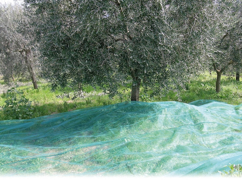 1pz rete per olive antispine   mt.12x14 cod:ferx.vit27774