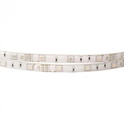 Striscia LED 5m RGB+4000K 14,4W/m 12V IP20 Ecolight