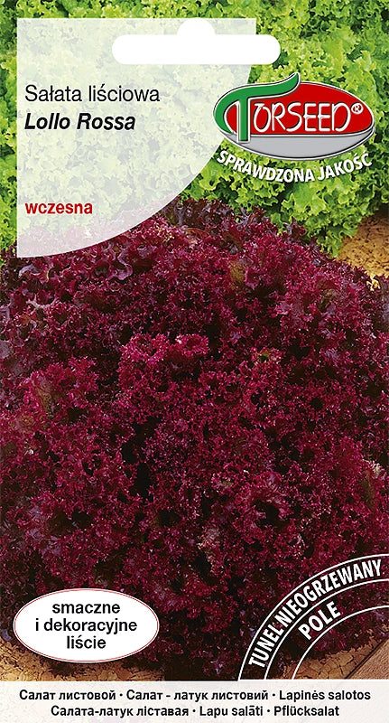 Lattuga a foglia (da coltivazione in pieno campo) Lollo Rossa 0,5g