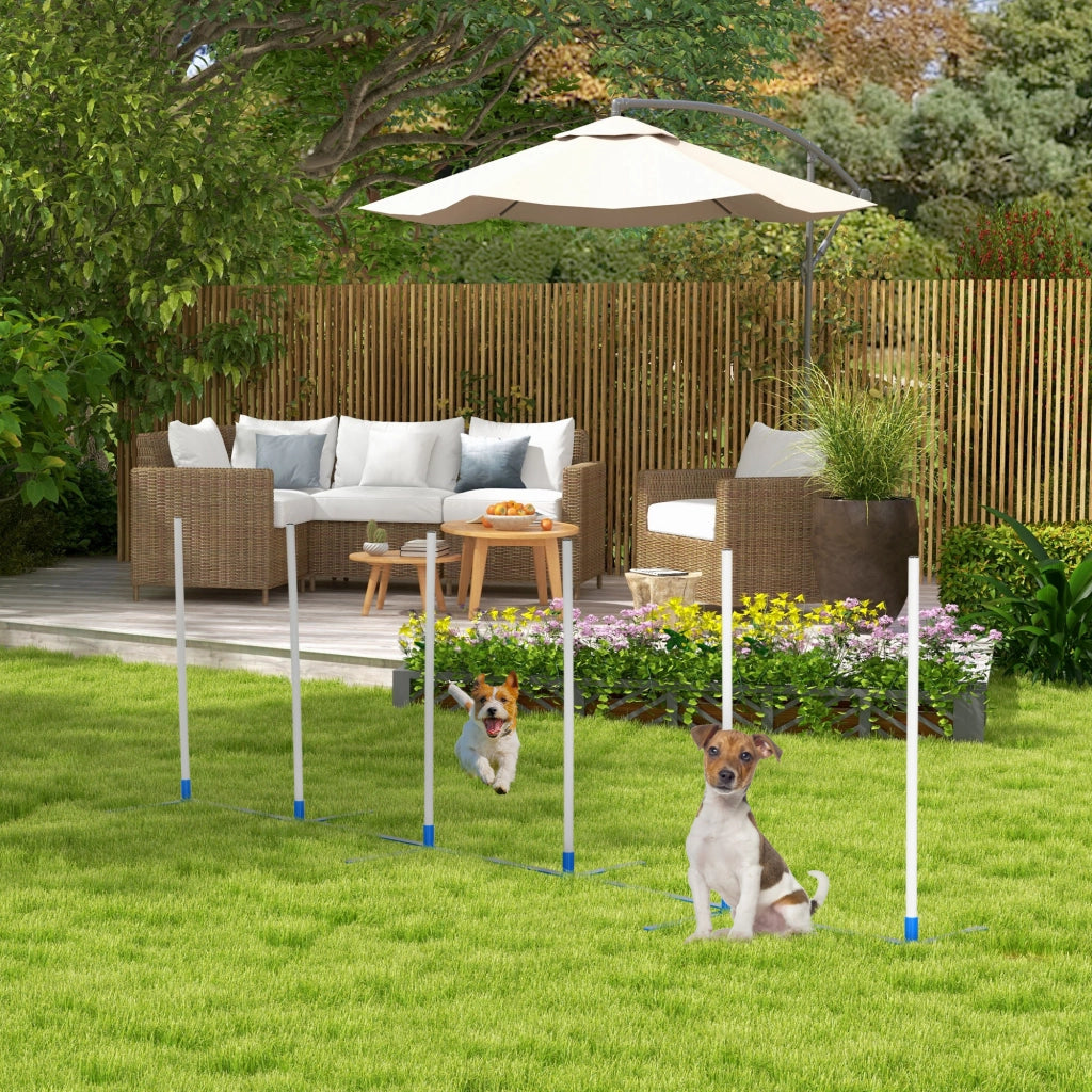 Set Agility per Cani 6 Pezzi ¨C Minimal ¨C Grigio