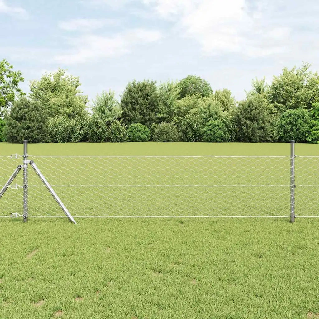Recinzione Esagonale Argento 0,6 x 25 m Acciaio zincato 42005671