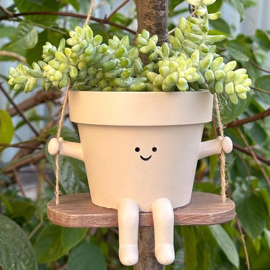 Vaso per piante a sospensione con faccia oscillante - Decorazione interna/esterna - Ideale per piante a catenella - Progettazione accattivante - Materiale in cera