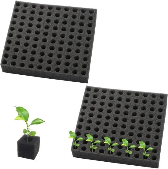 Semi Sementi in Hydrocultura 200 Pezzi - Coltivazione in Sospensione - Assorbimento d'Acqua - Accumulo di Nutrienti - Morfologia Soffice e Flessibile - Blocchi di Culti
