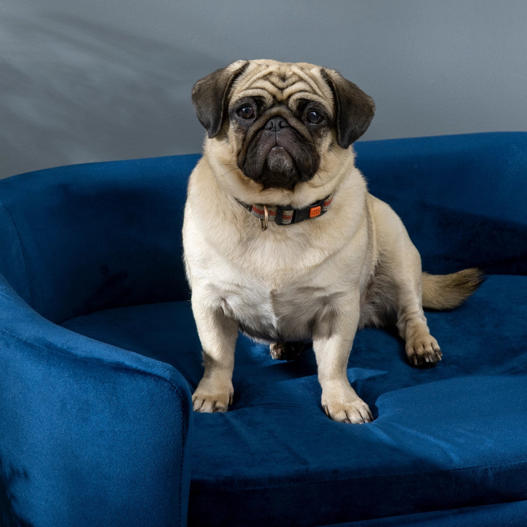 Divano per cani piccoli ¨C Minimal ¨C 86x55x33 cm blu legno lavabile