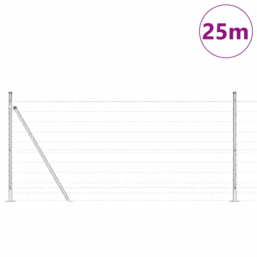 Recinzione con Posto Argento 1 x 25 m Acciaio 3351031