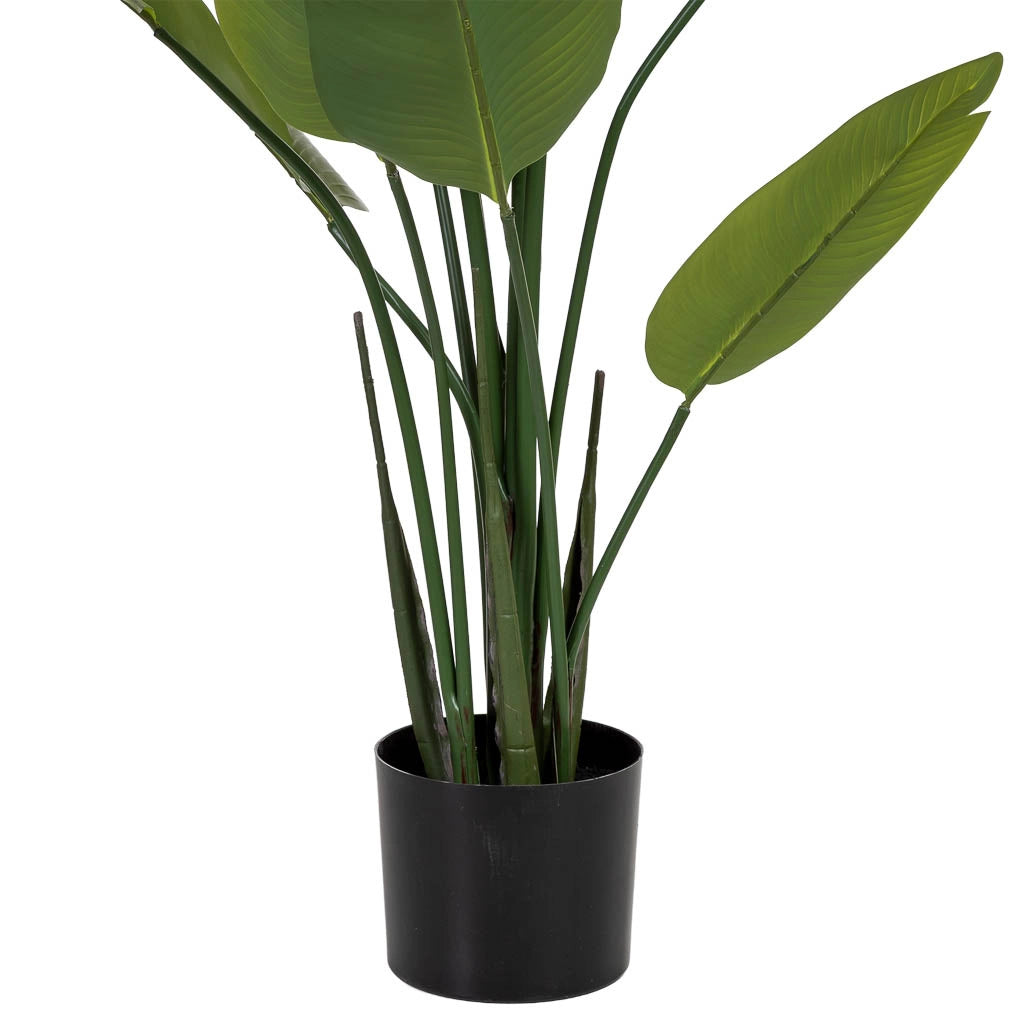 Sterlitzia decorativa artificiale verde 80x80x180
