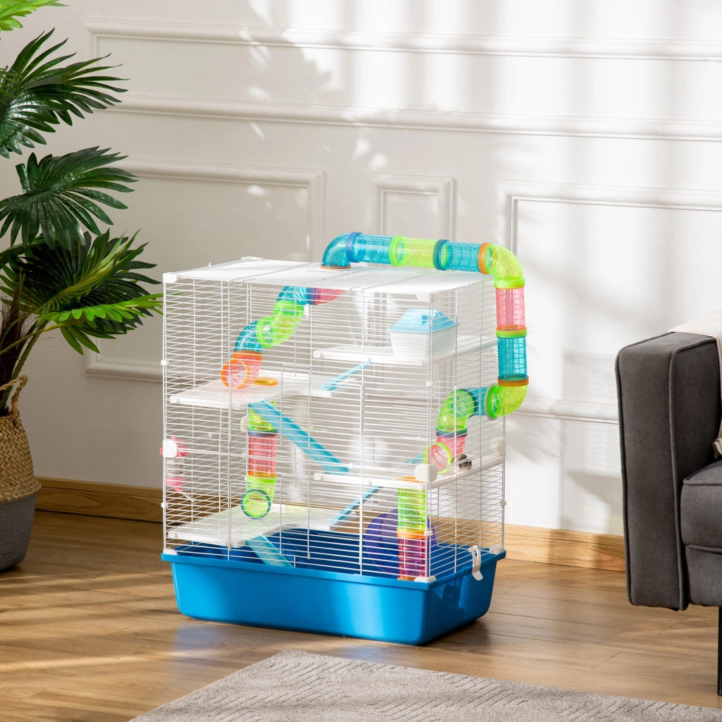 Gabbia per Criceti e Roditori 59x36x69 cm con Accessori Blu