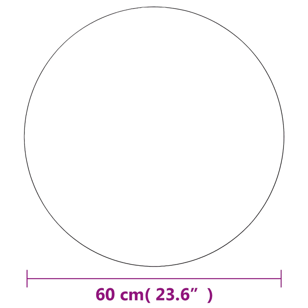 Specchi da Parete 2 pz 60 cm in Vetro Circolari 3051628