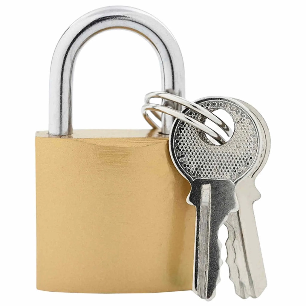 U Lock con Chiavi 100 pcs Ottone Ferro 42021901