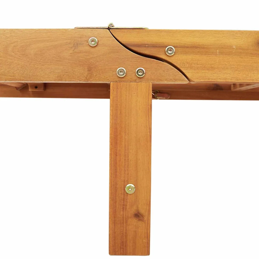 Lettino da sole 2 pcs Marrone 65 x 199 x 84 cm 3325194