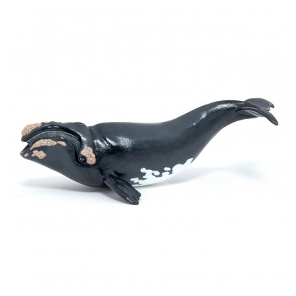 Papo - Right whale