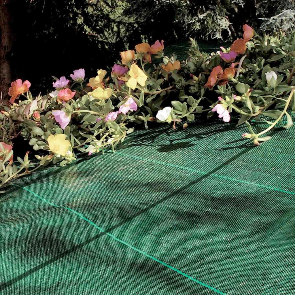 Telo Pacciamatura Premium Stop Erbe Infestanti Antistrappo Uv Resistente Permeabile Drenante Telo Orto Giardino Serra Polipropilene Contro Le Erbacce Pavimentazioni Pavimento - 1x100 Mt