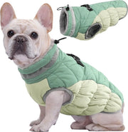 Cappotto per cani