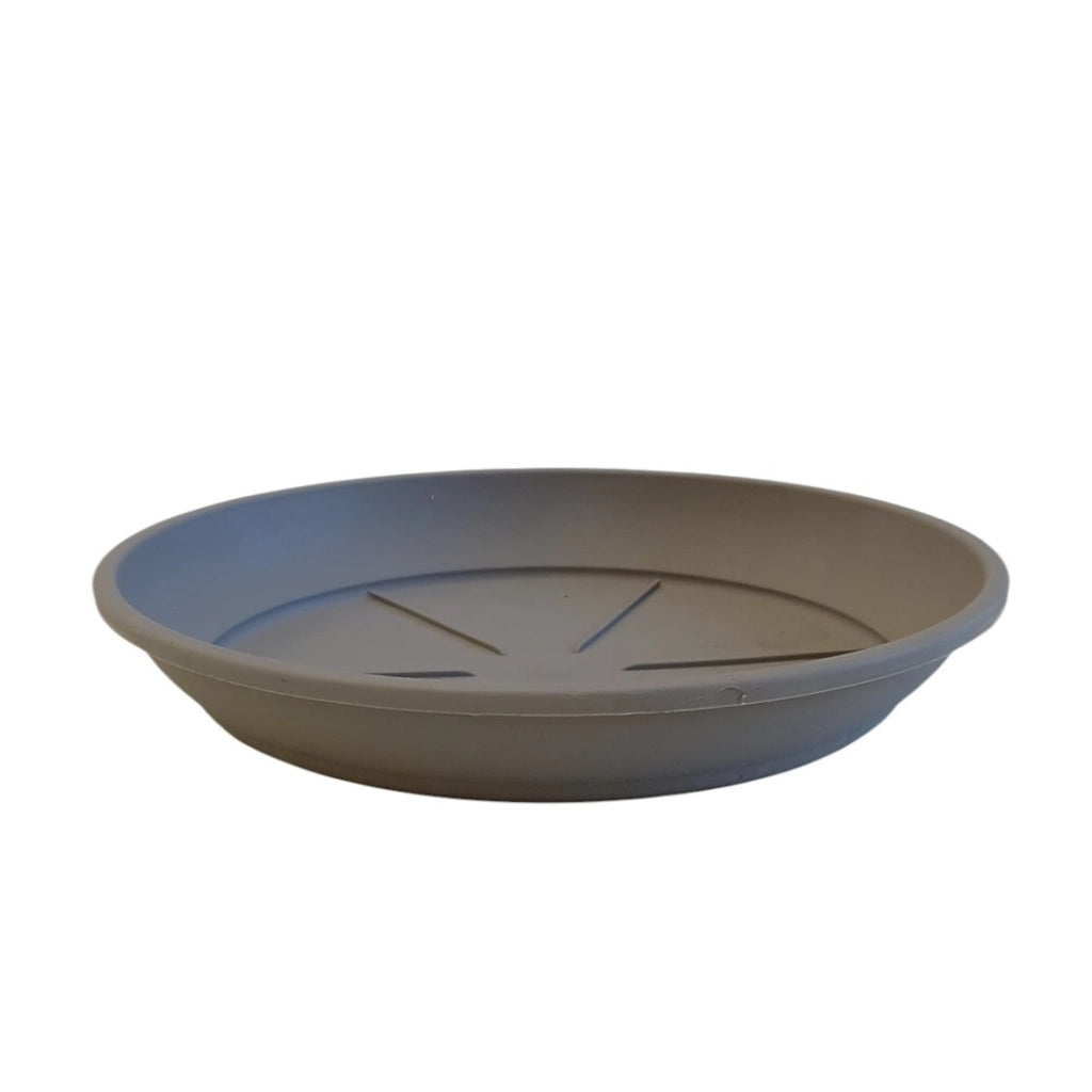 SOTTOVASO COLOR D.22XH3,5CM ASSORTITO