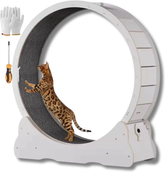 Pattino per gatti - Pattino per gatti - Pattino per gatti - Pattino per gatti - Pattino per gatti - Bianco ivory