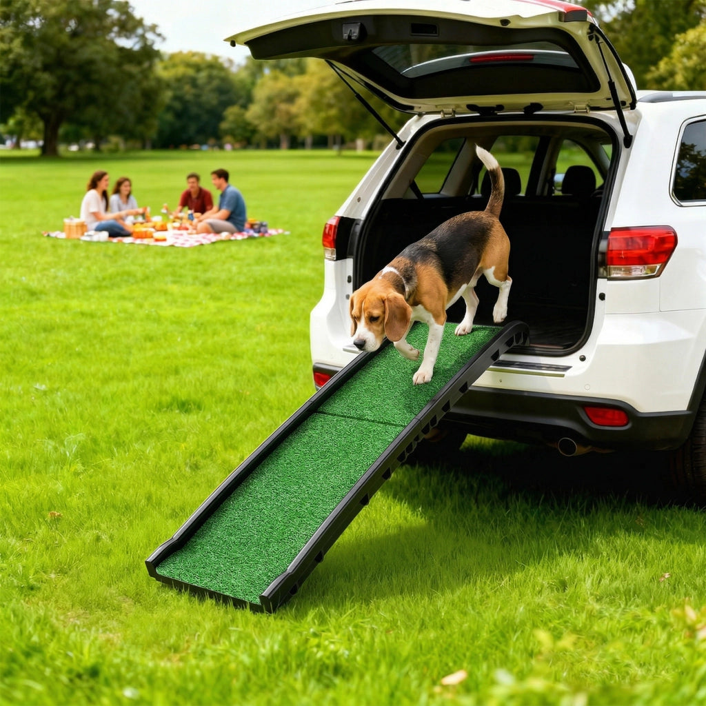 Rampa per Cane Pieghevole ¨C zephmum ¨C Verde 155 cm