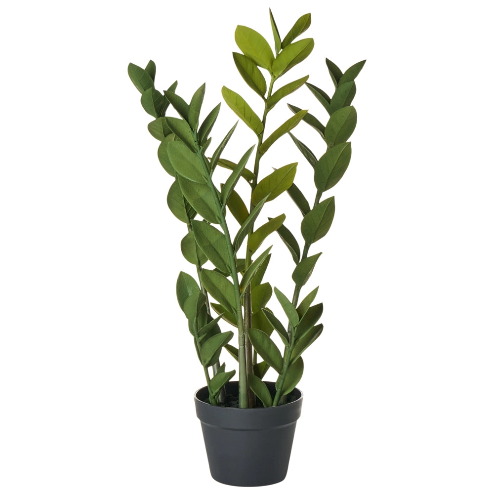 Pianta artificiale in vaso Zamiifolia Materiale sintetico verde e nero 76 cm Accessorio decorativo per interni