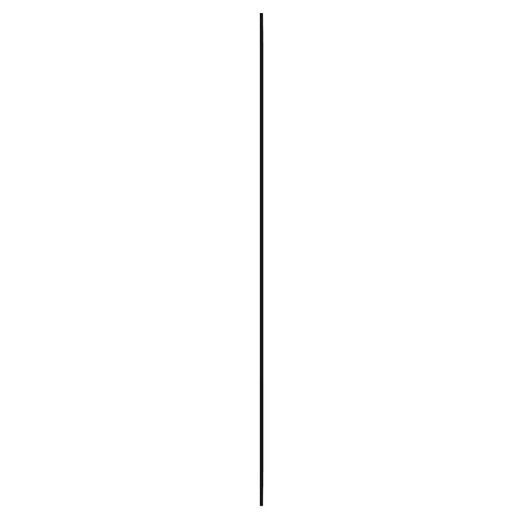 Specchio da Parete 40x100 cm Vetro Rettangolare 350448