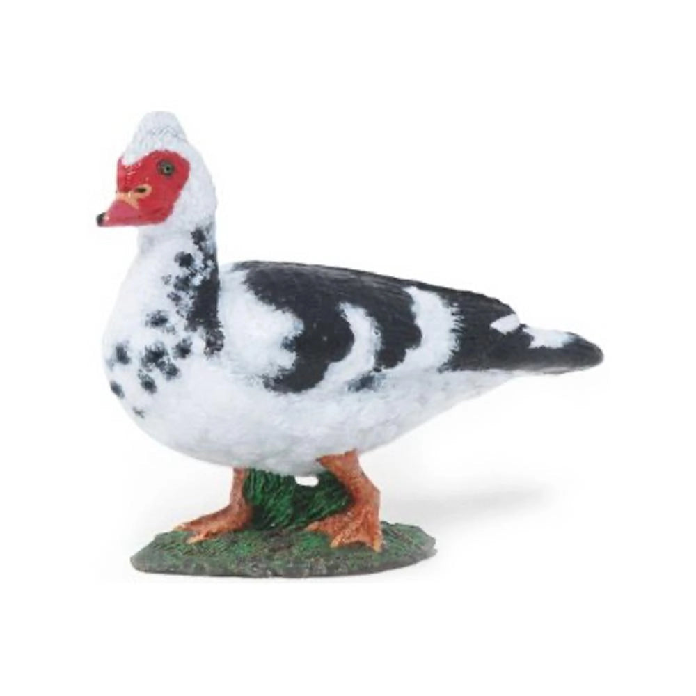 Papo - Domestic Muscovy Duck